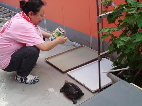 20230820_174926_copy_800x600