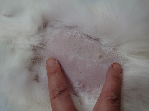 DSC_1237_copy_800x600