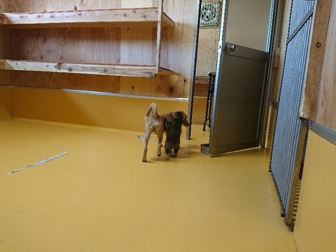 DSC_5873_copy_800x600