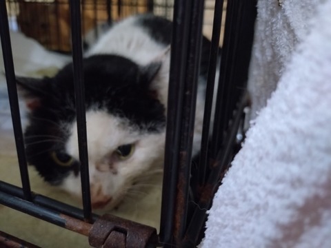 20260130_080922_copy_800x600