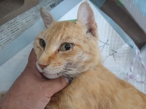 20240521_102123_copy_800x600