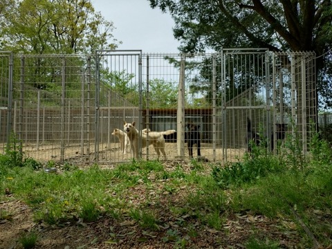 20260424_121313_copy_800x600