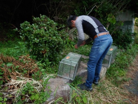20230528_191957_copy_800x600
