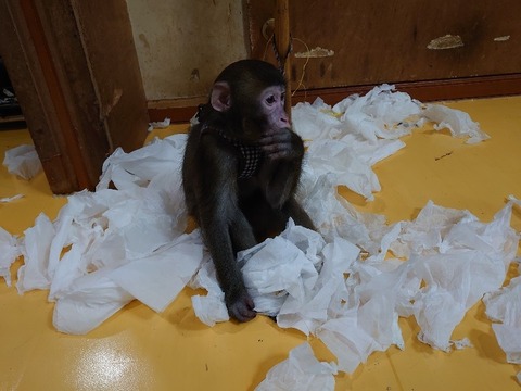 DSC_2672_copy_800x600