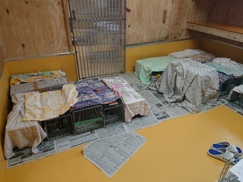 DSC_5822_copy_800x600