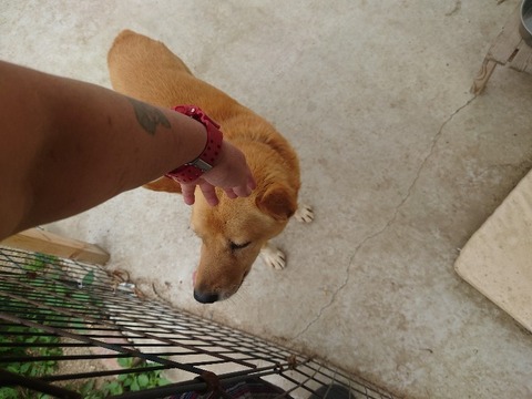 20230606_140618_copy_800x600