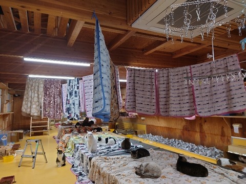 20221223_164415_copy_800x600