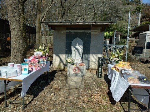 20260309_102346_copy_800x600