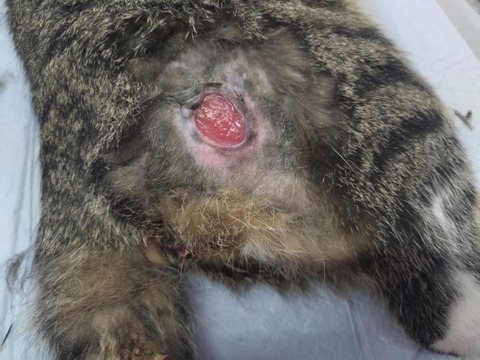 20260120_173146_copy_800x600