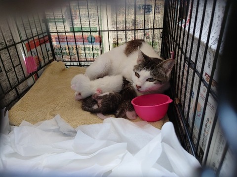 20230404_120351_copy_800x600