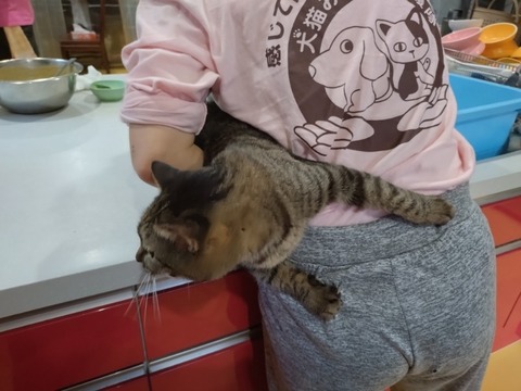 20260223_080626_copy_800x600_copy_800x600