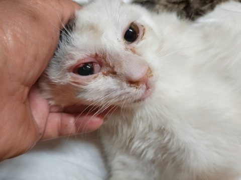 20260419_183801~2_copy_800x600
