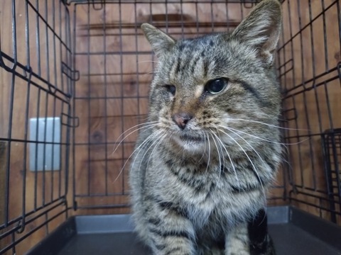 20251229_174227_copy_800x600