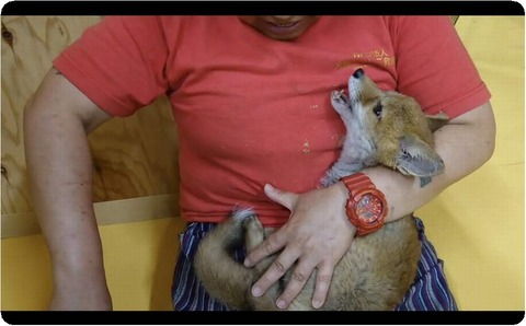 Screenshot_20230612-184334_copy_1080x671