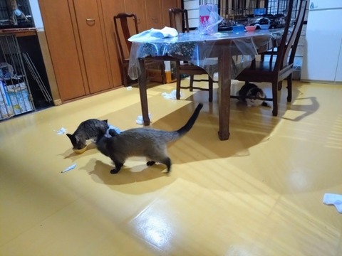 20260224_075150~2_copy_800x600