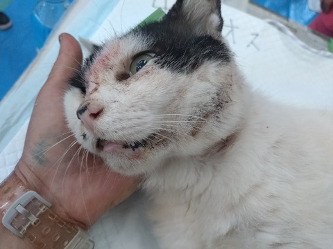 20240521_105838_copy_800x600