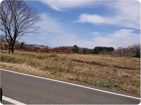 DSC_6501_copy_800x600