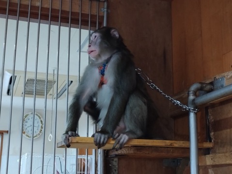 20260130_081736_copy_800x600