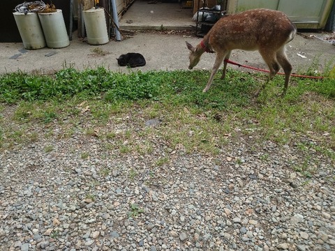 20230606_160111_copy_800x600