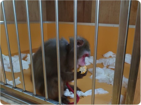 DSC_0055_copy_3323x2471