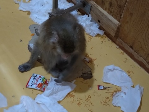 20260225_145233_copy_800x600