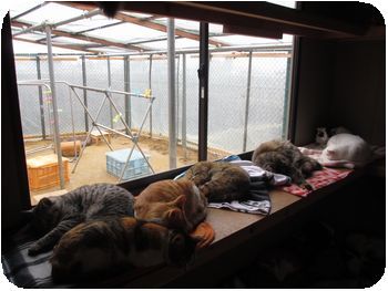 IMG_0648