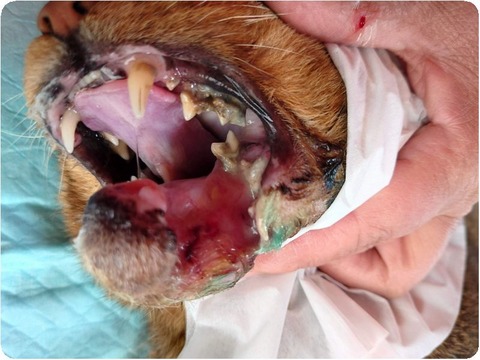 20221218_113748_2 (1)