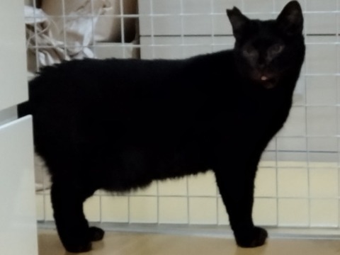 20250221_074135_copy_652x489