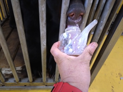 20251231_071823_copy_800x600