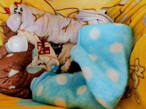 20230301_082653~3_copy_800x600