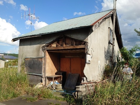 DSC_0278_copy_800x600_1