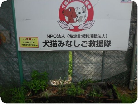 DSCN6694