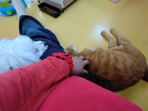 20251127_102748_copy_816x612