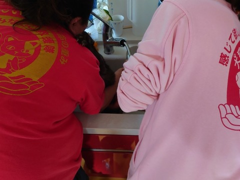 20230404_084158_copy_800x600