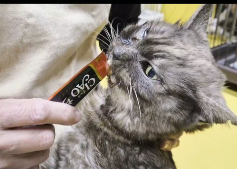 Screenshot_20260227-100732~2_copy_800x571_copy_800x571