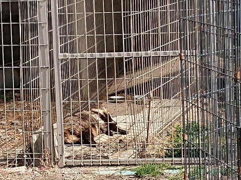 DSC_5783_copy_800x600