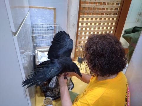 20250621_114830_copy_800x600