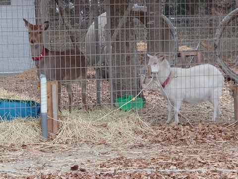 DSC_2522_copy_800x600