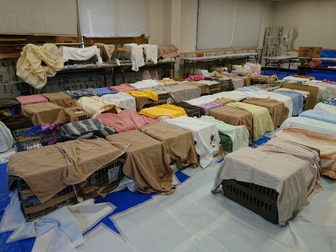 DSC_3924-800x600