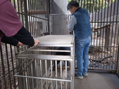 20251106_072734_copy_800x600