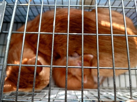 20220725_171143_copy_800x600