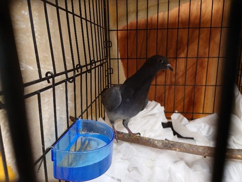 20231225_161057_copy_800x600