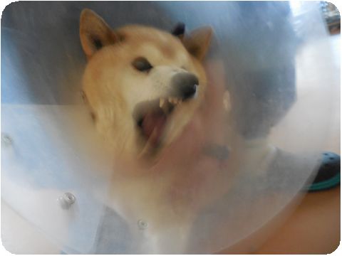 DSCN4812