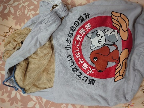 DSC_5018_copy_800x600