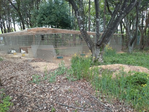 20260423_121339_copy_800x600