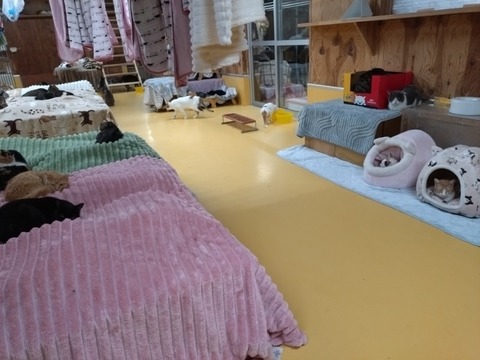 20260116_183728_copy_800x600