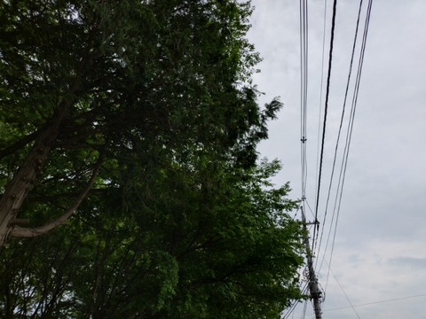 20260508_144526_copy_800x600