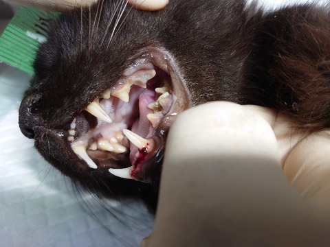 DSC_0844_copy_800x600