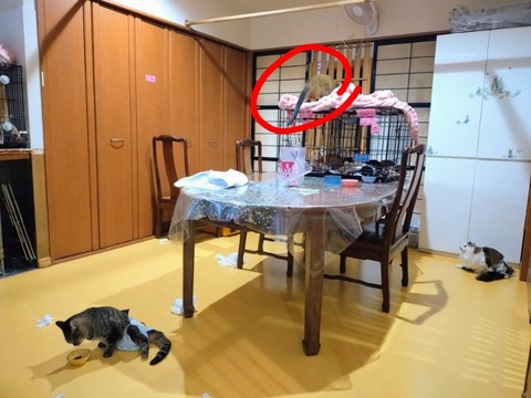 20260224_075107~3_copy_800x600