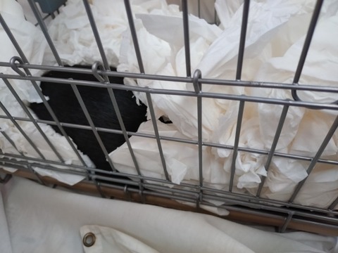 20251202_155440_copy_800x600